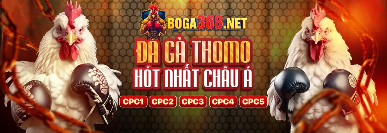 Cá cược thể thao trên oke88 app